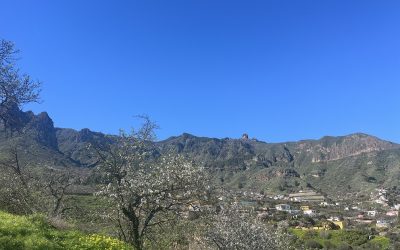 Familyphron Ruta del Almendrero