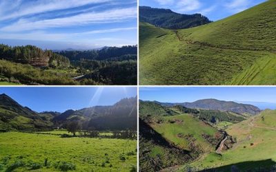 Familyphron Circular Monte Pavon