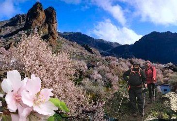 Senderismo Basico Almendrero II