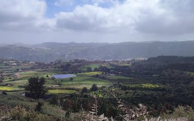 Familyphron Circular La laguna SUSPENDIDA POR METEOROLOGIA ADVERSA