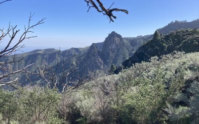 Senderismo Jubiloso San Mateo-Tenteniguada-Valsequillo