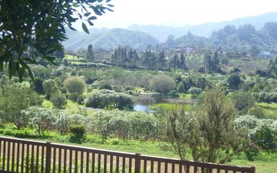 Familyphron Laguna de Valleseco – PIco de Osorio