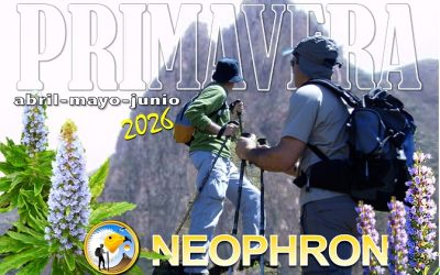 Calendario de Primavera 2026